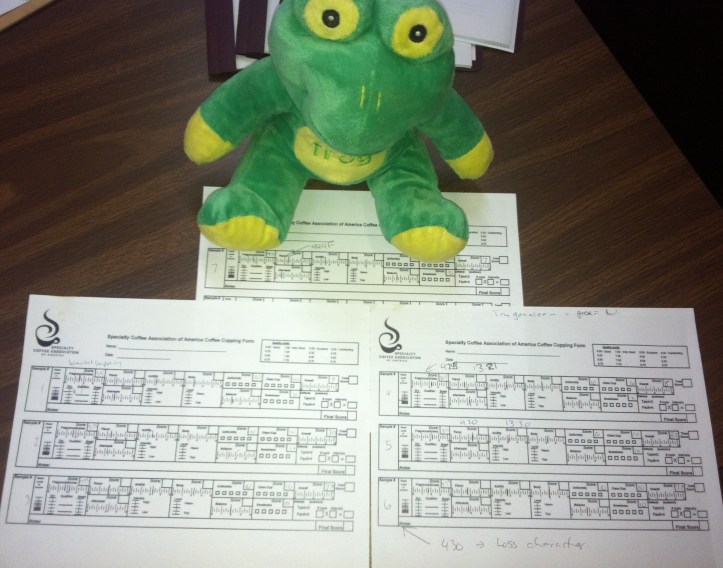 Cupping Results With FrogQ