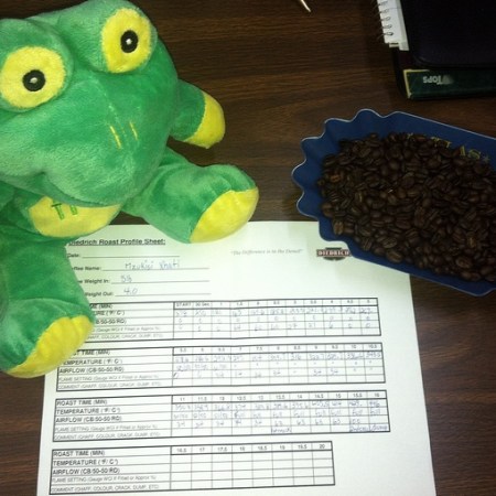 Frog Q Roast sheet with spike at the End