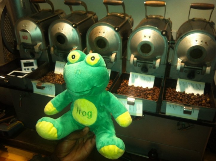 Frog Q at Atlas Lab